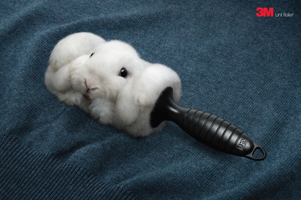 3M-Rabbit.jpeg 3M-Rabbit.jpeg