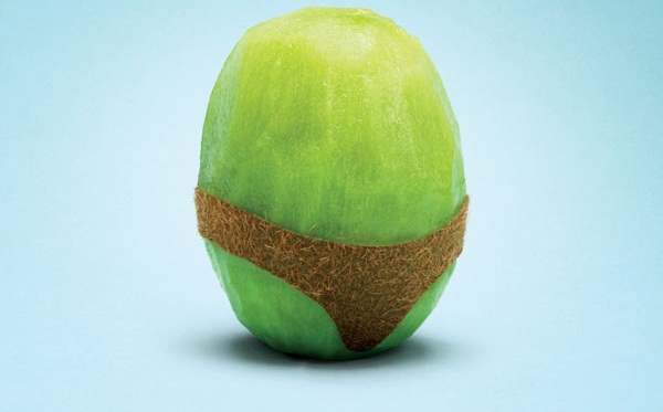 Kiwi_main.jpg Kiwi_main.jpg