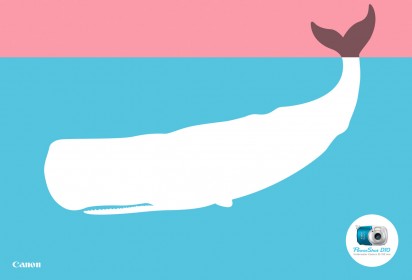canon3-whale-412x280.jpg canon3-whale-412x280.jpg