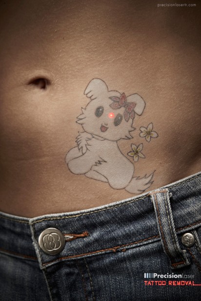 precision_kitty-412x617.jpg precision_kitty-412x617.jpg