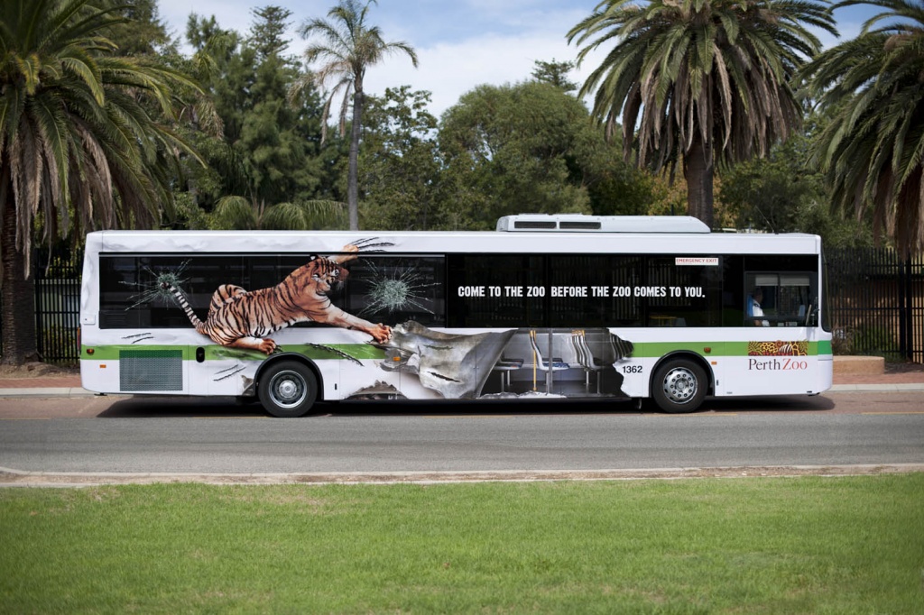 Perth-Zoo-Tiger-Bus.jpg Perth-Zoo-Tiger-Bus.jpg