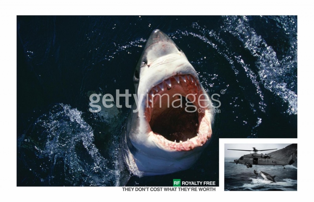 royalty-free-images-getty-shark.jpg royalty-free-images-getty-shark.jpg